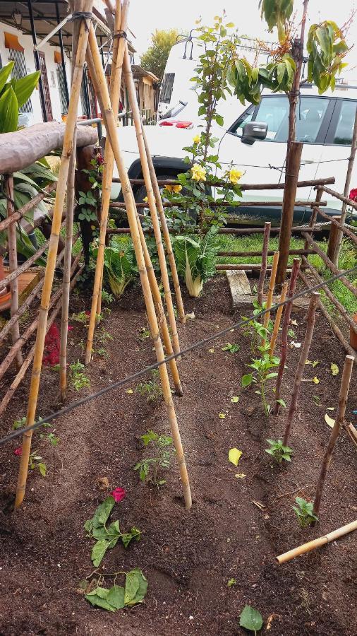 בית הארחה El Rocío 	Jardines Del Acebron מראה חיצוני תמונה